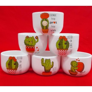 CONSOME CERAMICA CACTUS