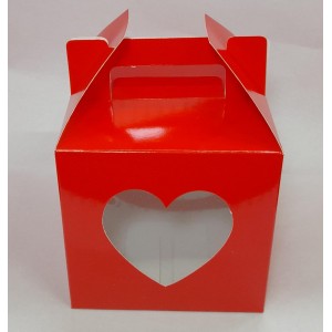 CAJA 12X12 FRENTE VISOR  -ROJAS-