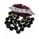  BOLON ONIX X25U EN RED