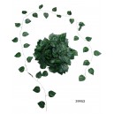  ENREDADERA 2,5 CM POTUS X12U