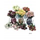 RAMO 30 CMX 10 FLORES
