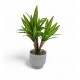  PLANTA ARTIFICIAL 25 CM CON MACETA