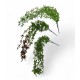  PLANTA COLGANTE 77 CM