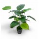 PLANTA ARTIFICAL 70 CM CON MACETA