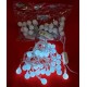  LUZ BOLITA 5 MTS 28 LUCES BLANCAS FRIAS 220V