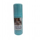 SPRAY TAPA CANAS CASTA&Ntilde;O CLARO 2070/04