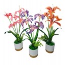 PLANTA CON FLOR EN MACETA 50 CM