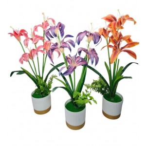 PLANTA CON FLOR EN MACETA 50 CM