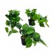  MACETA 8 CM PLASTICA CON PLANTA ARTIFICIAL