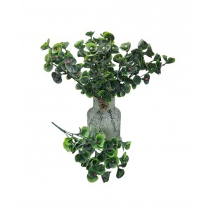 RAMO VERDE 40 CM CON MINI FLORCITA
